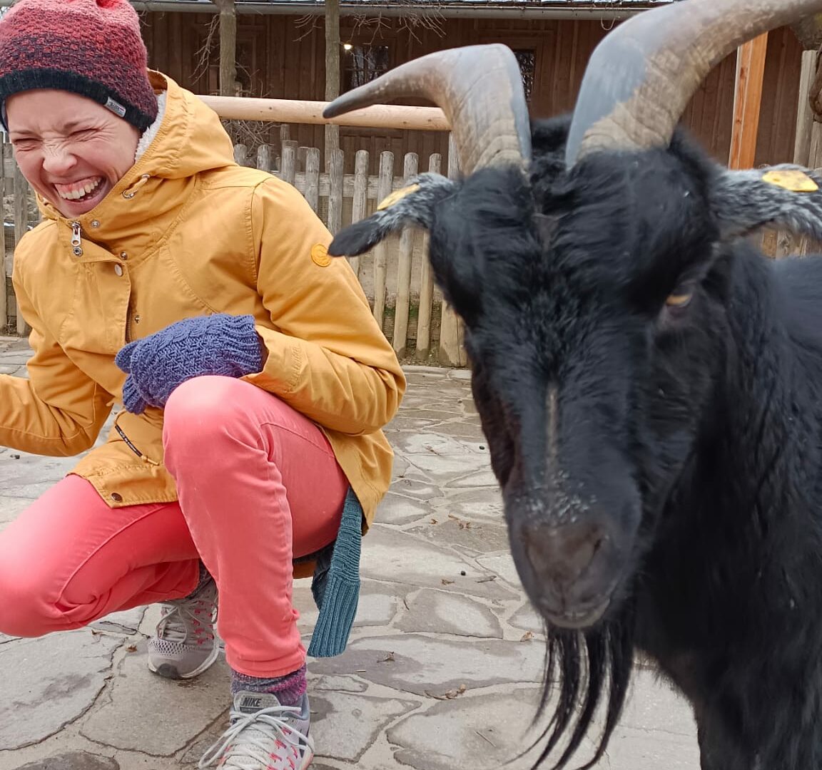 Peeezi und die Ziege