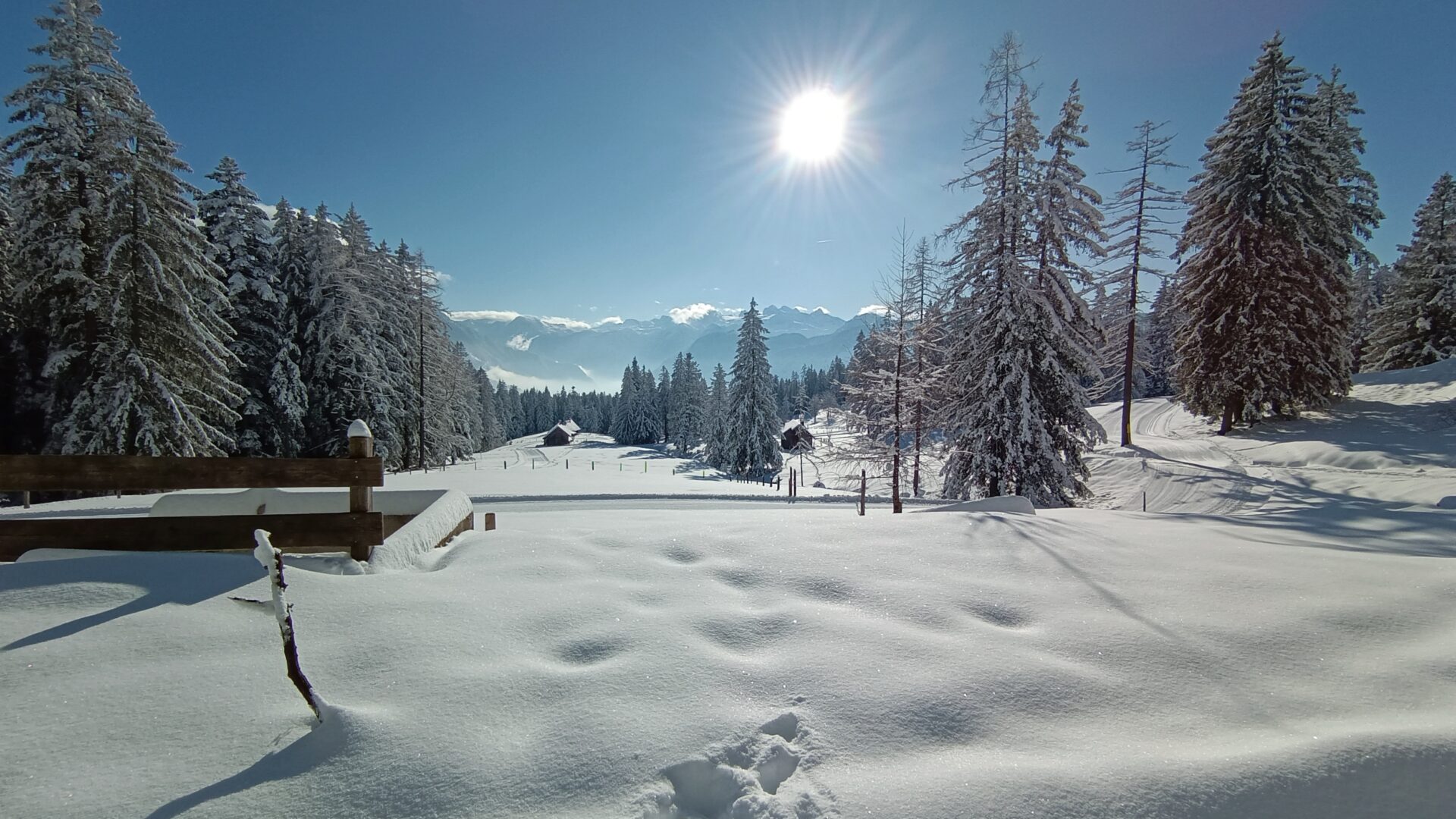 filter: 0; jpegRotation: 0; fileterIntensity: 0.000000; filterMask: 0; module:1facing:0; 
hw-remosaic: 0; 
touch: (-1.0, -1.0); 
modeInfo: ; 
sceneMode: Night; 
cct_value: 0; 
AI_Scene: (3, -1); 
aec_lux: 0.0; 
hist255: 0.0; 
hist252~255: 0.0; 
hist0~15: 0.0;