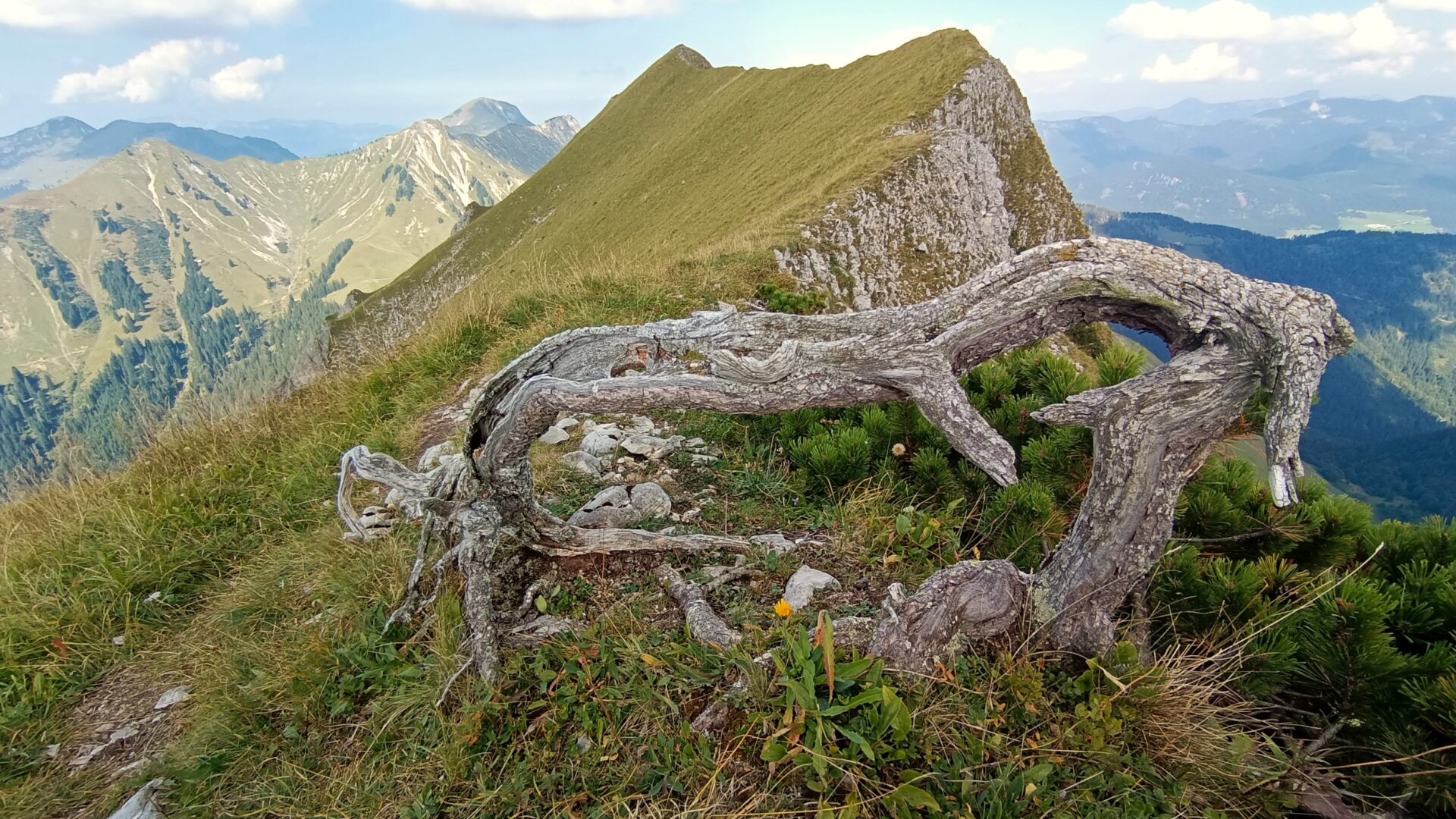 ????????????????????????????????????????????????????????????????????????????????????????????????????????????????????????????????????????????????????????????????????????????????????????????????????????????????????????????????????????????????????????????????????