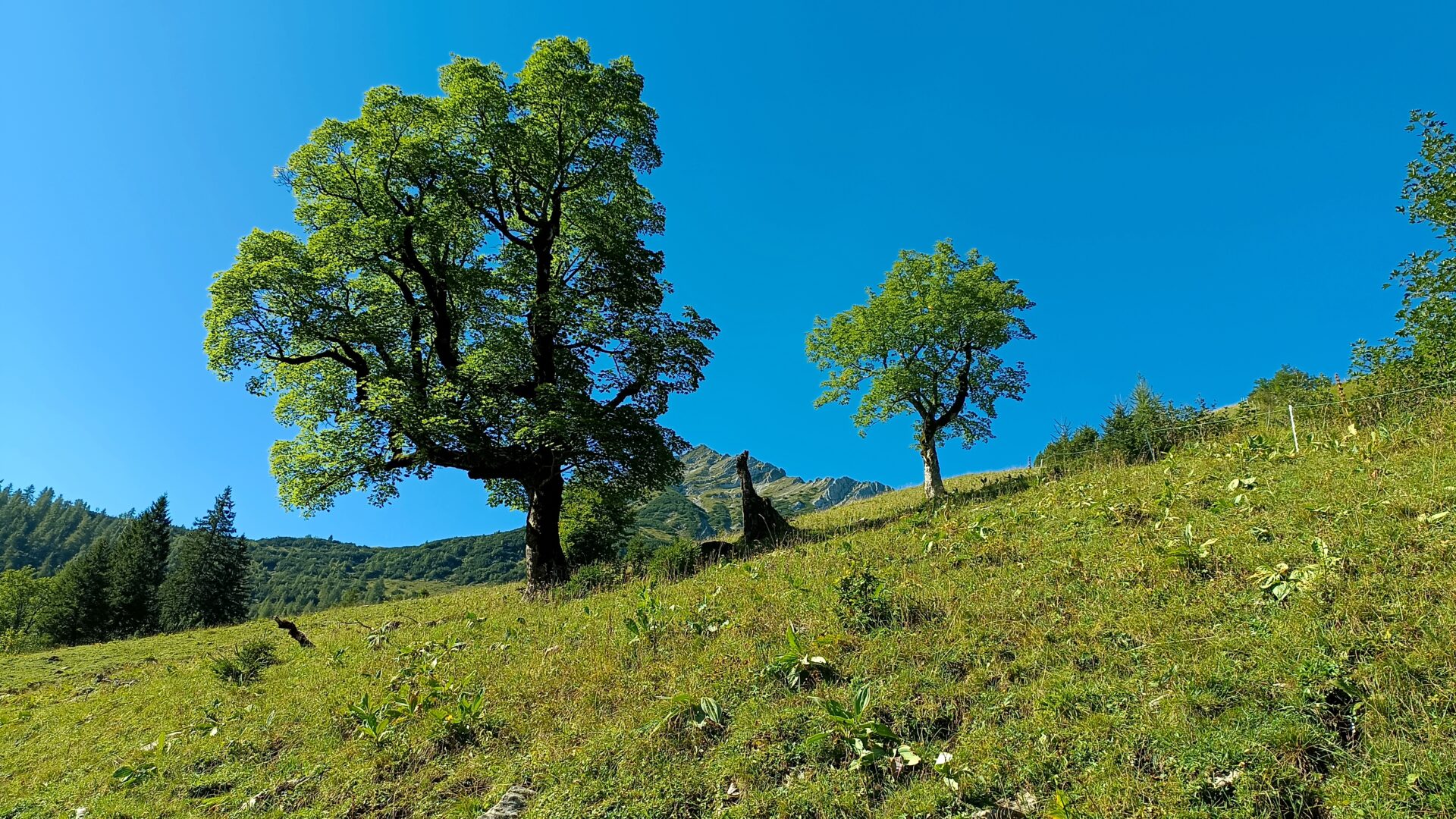 filter: 0; jpegRotation: 0; fileterIntensity: 0.000000; filterMask: 0; module:1facing:0; 
hw-remosaic: 0; 
touch: (-1.0, -1.0); 
modeInfo: ; 
sceneMode: Night; 
cct_value: 0; 
AI_Scene: (1, -1); 
aec_lux: 0.0; 
hist255: 0.0; 
hist252~255: 0.0; 
hist0~15: 0.0;