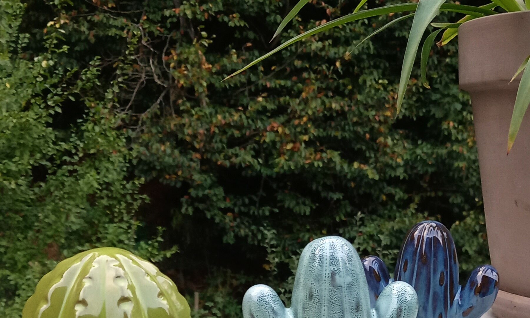 Kaktusparadade_bearbeitet