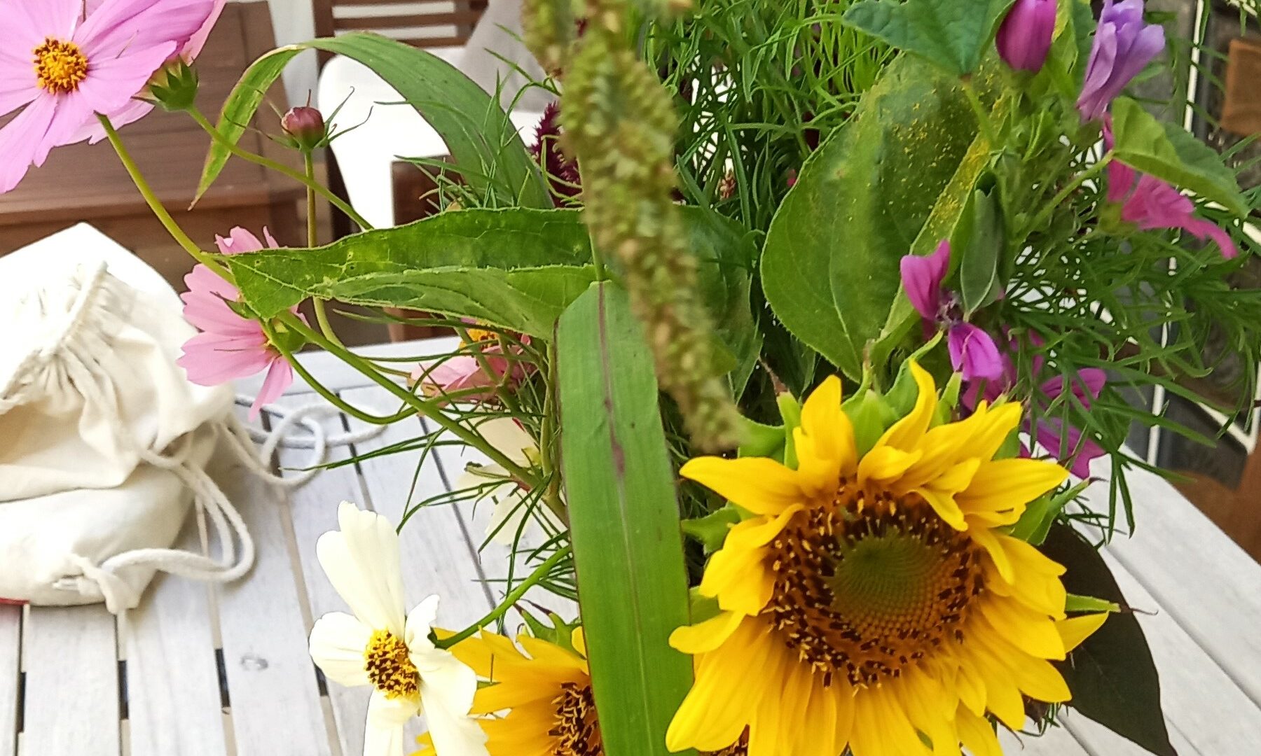 Sonnenblumen_bearbeitet