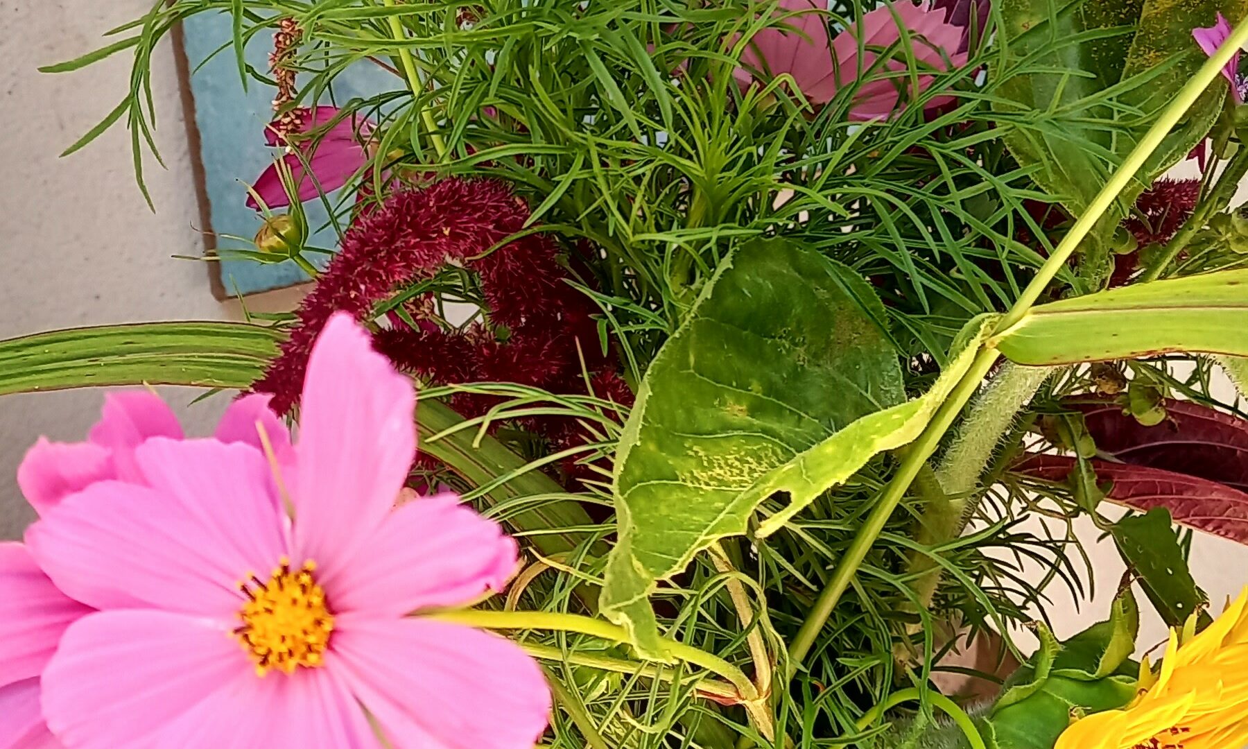 bunter Blumenstrauß_bearbeitet